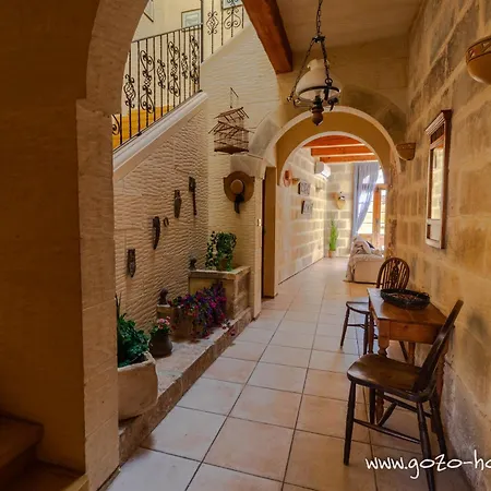 Tal Lilly * 자프라